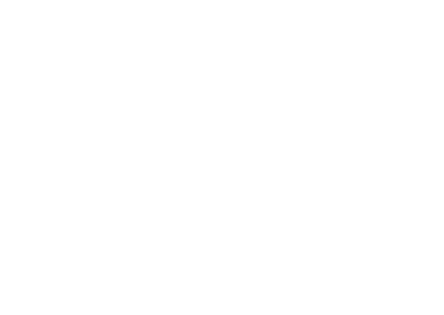 Logo Officiel de la Franchise